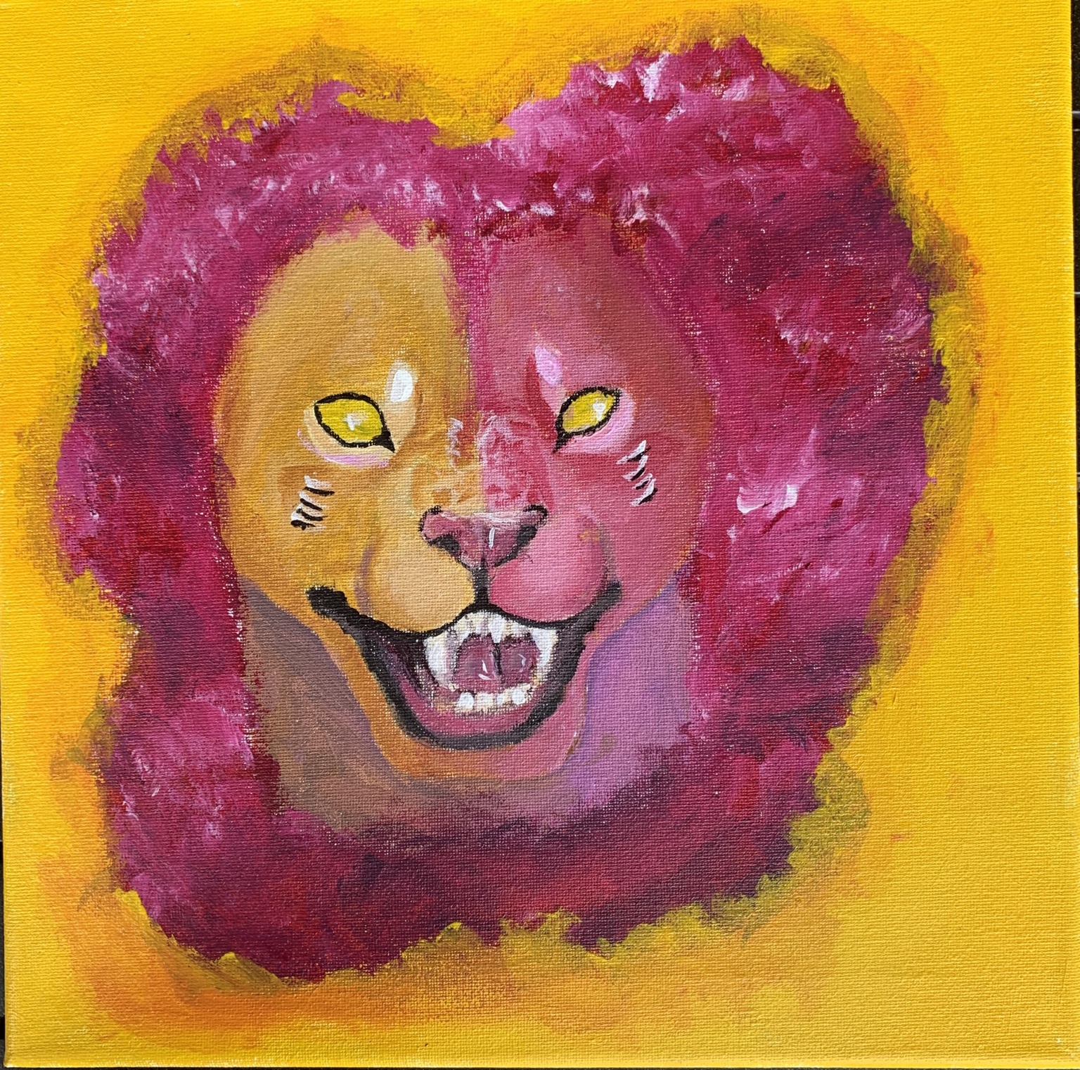 Lion's Eyes