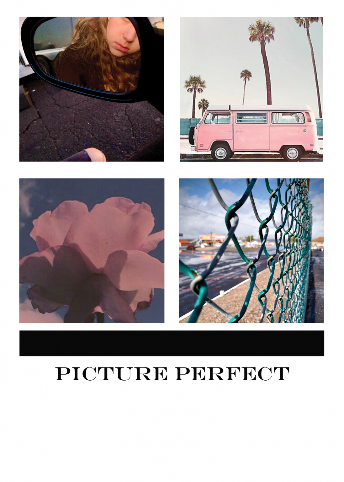 Picture Perfect